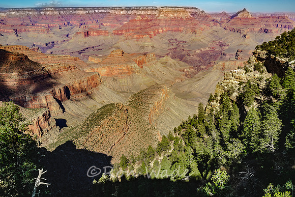 Grand Canyon-6531-HDR