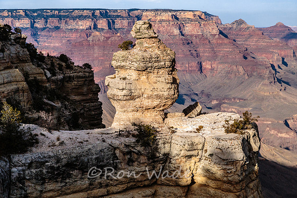 Grand Canyon-6414-2