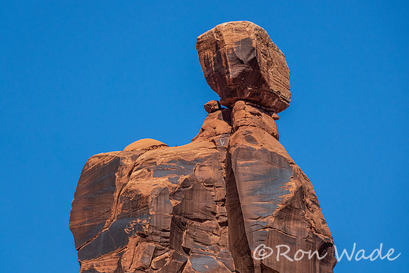 Three Gossips-8356