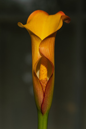 _DSC8030-Edit