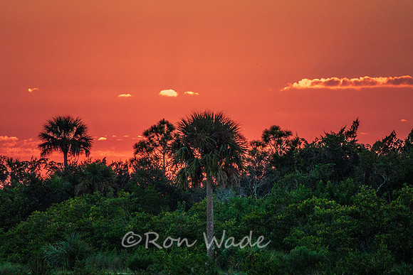 Sunset-0160