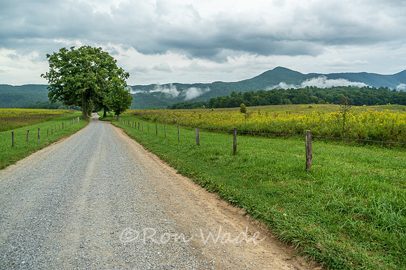 Hyatt Lane, Cades Cove-4308-Edit