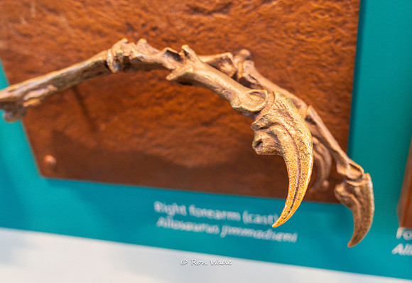 Dinosaur National Monument-6639
