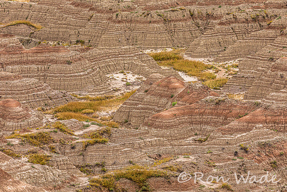Badlands-9567