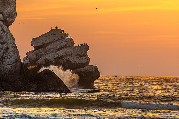 Sunset, Morro Bay-8033-2