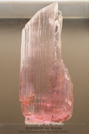 KMW06073