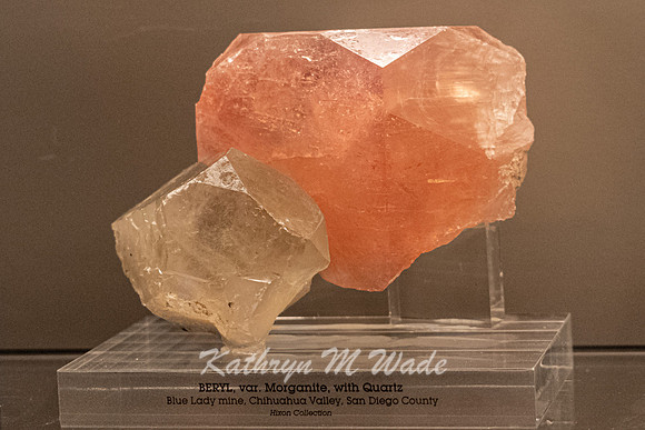 KMW06077