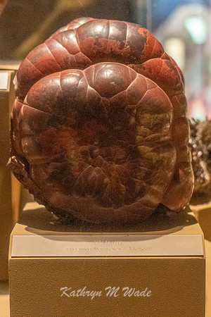 KMW06107