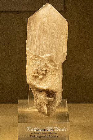 KMW06187
