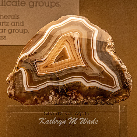 KMW06207