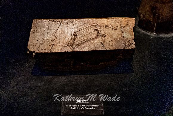 KMW06213