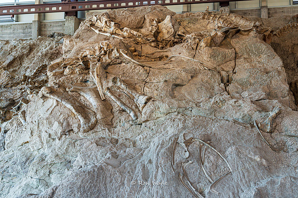 Dinosaur National Monument-6615