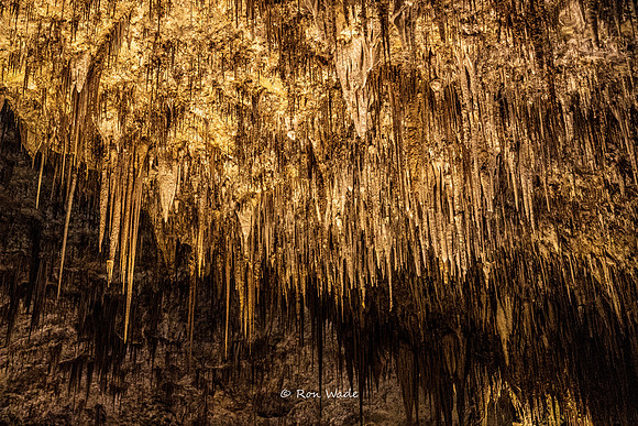 Carlsbad Caverns-0642-2