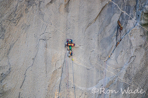 climbers, El Capitan, Yosemite Valley-5681
