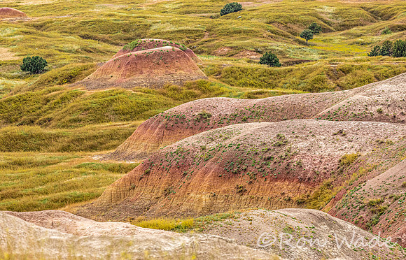 Badlands-9545