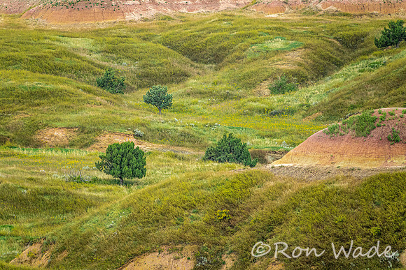 Badlands-4083