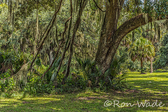 Fort Frederica-3484-Edit