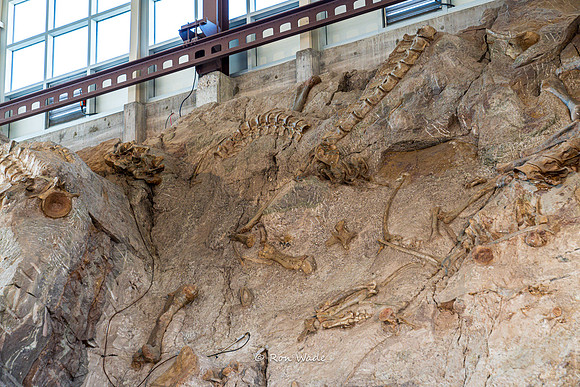 Dinosaur National Monument-6610