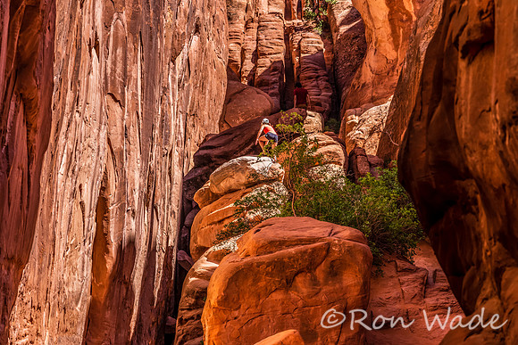 Sand Dune Arch-733615-Edit