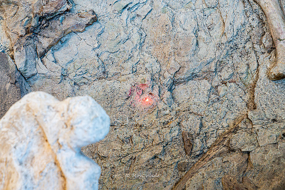 Dinosaur National Monument-6622
