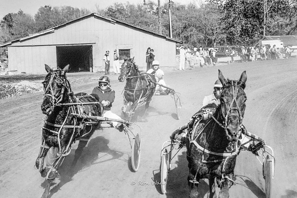 Harness Horse race, March '77--2