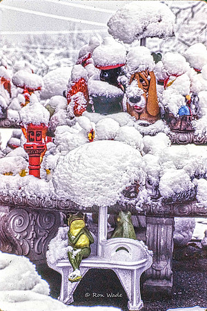 snow, January 83-01487-HDR-Edit-2