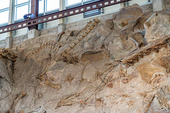 Dinosaur National Monument-6609