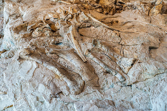 Dinosaur National Monument-6617