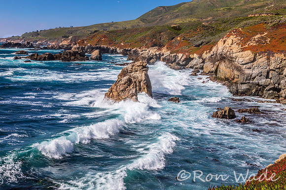 Point Lobos, Cabrillo Hwy, Pacific Ocean, California-5744
