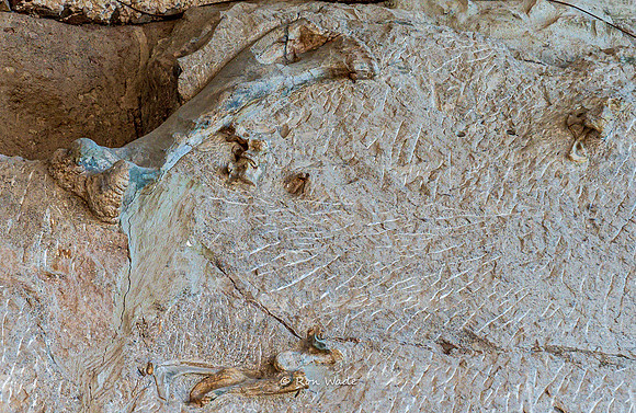 Dinosaur National Monument-6588