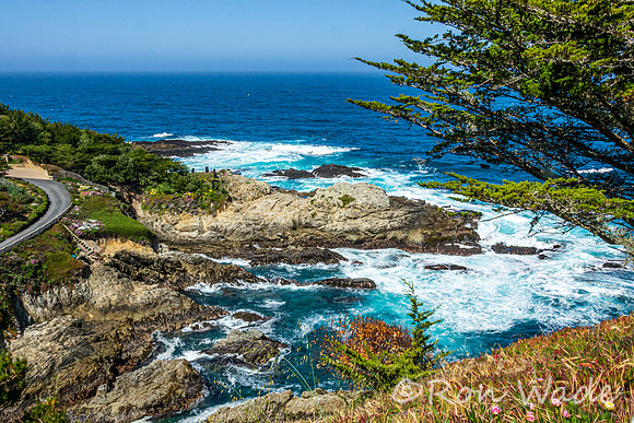 Carmel Highlands, Cabrillo Hwy, Pacific Ocean-7837