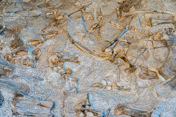 Dinosaur National Monument-6596