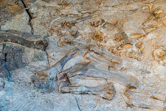 Dinosaur National Monument-6601