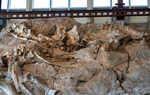 Dinosaur National Monument-6614