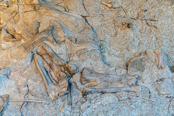 Dinosaur National Monument-6592