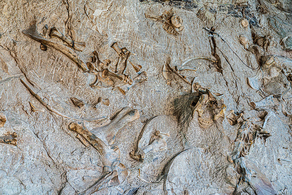 Dinosaur National Monument-6591