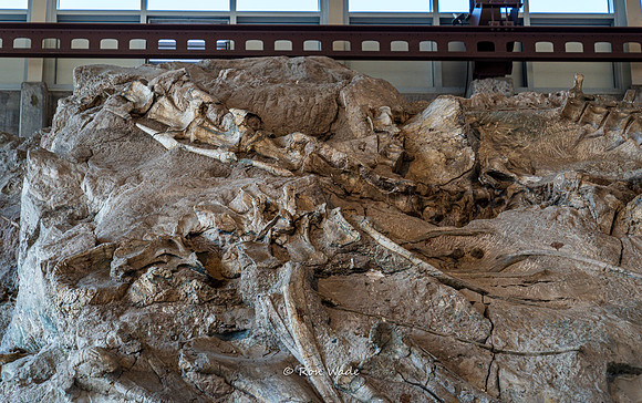 Dinosaur National Monument-6618