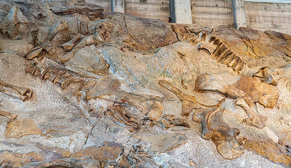 Dinosaur National Monument-6605