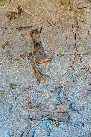 Dinosaur National Monument-6590
