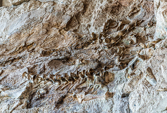 Dinosaur National Monument-6619